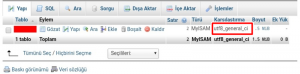 mysql türkçe karakter sorunu